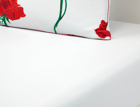 Drap housse Satin de coton - K ROSES
